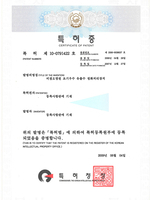 특허증[비점오염원 초기우수 유출수 정화처리장치