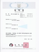 특허증[노면 초기우수 정화장치]