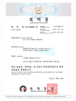 특허증[초기우수 유출수 정화장치]